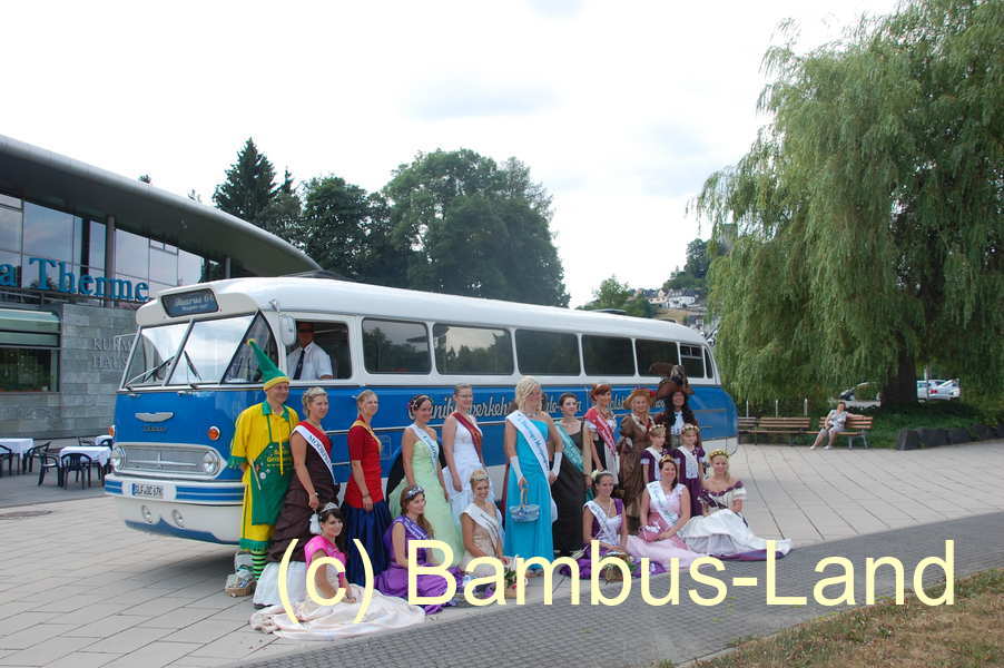 Bambusfee 2013